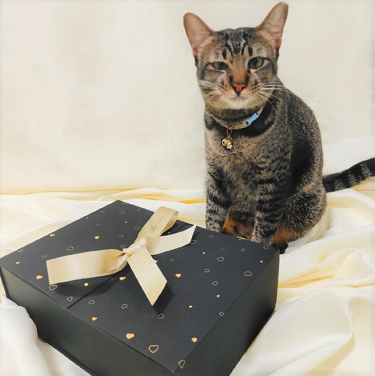 black and bold mystery box